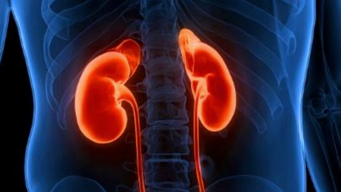 Kidney Care in Iowa