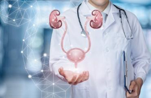 Kidney, Prostate, and Bladder Health
