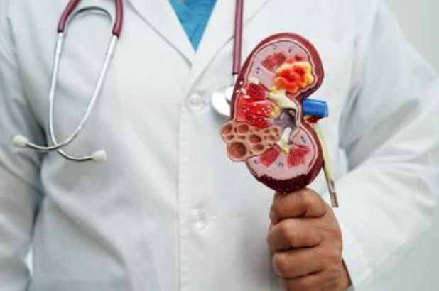 Urology Services